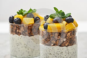Close up view of tasty granola with canned peach, blueberries and yogurt with chia seeds