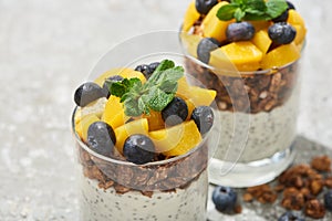 Close up view of tasty granola with canned peach, blueberries and yogurt with chia seeds on grey concrete surface