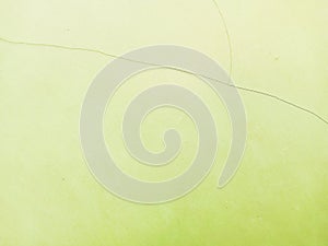 Abstract Green Wall Texture in Runway. photo
