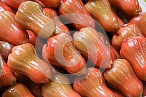 Close-up view to Rose (Java) apple fruit