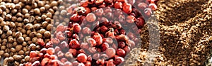 Close up view of traditional indian spices and dried berries, panoramic shot.