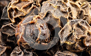 Close up view of true edible spices and seeds: Detail of a black pepper corn - black pepper Piper nigrum