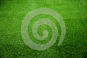 Close up view of turf