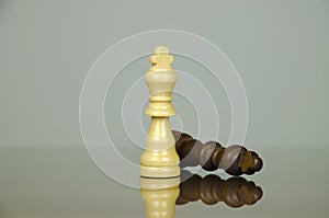 Close-up view of two chess king on a glass mat with reflection and