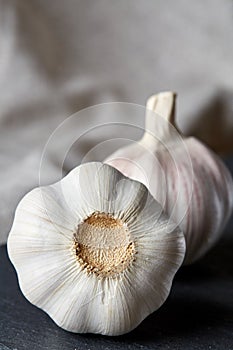 Close up view of two garlic bulbs arranged on a black piece of board, shallow depth of field, selective focus, macro