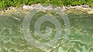 Close up view of underwater landscape near the coast.