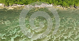 Close up view of underwater landscape near the coast.