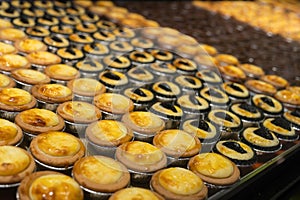Close-up view of the various types of Hokkaido baked cheese tarts