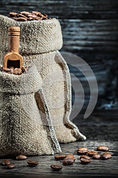 Close up view vertical view little and big sacks of coffee beans