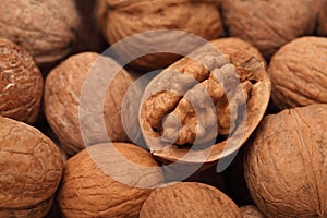 Close up view on walnuts
