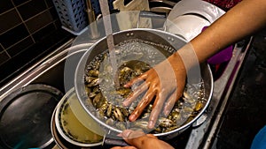 Close up view washing a full of saltwater clams using tap water to remove sand, dirt and salt water