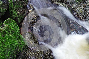 Close-up view of water fall. Beautiful deep forest waterfall.
