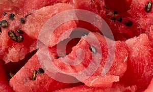 Close-up view of watermelon slices