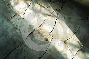 Cracked Wall with Sunlight and Shadows