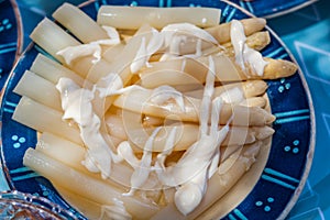 Close up view of a white asparagus appetizer plate from navarra, spain
