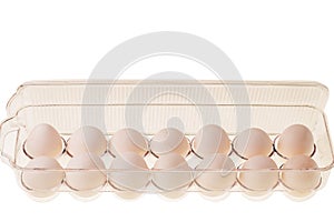 Close up view of white eggs in plastic storage container isolated on white background.