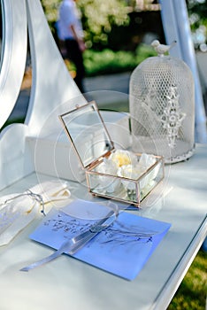 Close up view of white flowers, wedding rings in box with plants inside