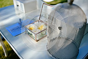 Close up view of white flowers, wedding rings in box with plants inside