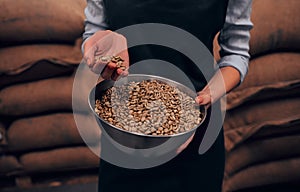 Close up view of woman hands with a bawl of raw coffee beans