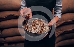 Close up view of woman hands with a bawl of raw coffee beans photo