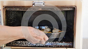 Close-up view of woman`s hand putting cookies into oven.