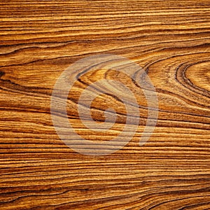 Closeup of wood pattern texture