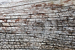 Close up View of Wood Texture