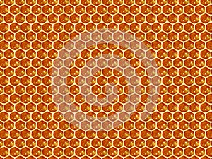 Close up view of the working bees on honey cells