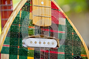 Close up vina, stringed instruments.