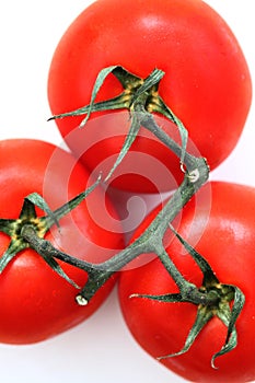 Close up of vine tomatoes