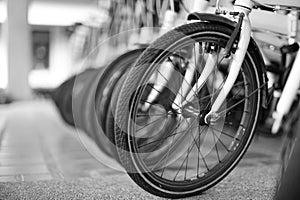 Close up the vintage bicycles in the shop as black and white photo