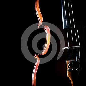 Close up violin
