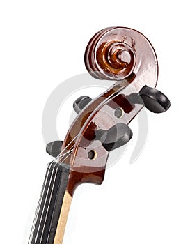 Close-up violin head on white background