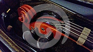 Close-up of violin neck in case