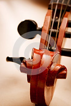 Close Up of Violin Scroll and Pegbox