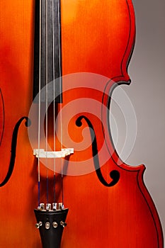 Close-up violoncello in vertical position