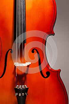 Close-up violoncello in vertical position photo