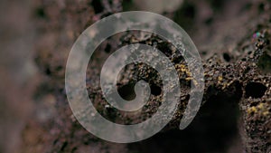 Close up of volcanic rock texture rotating background