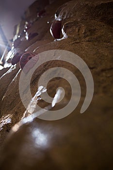 Close-up of wall with footholds