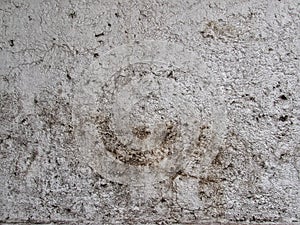 Close-up of Wall Texture