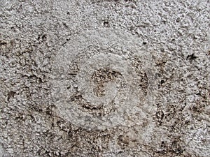 Close-up of Wall Texture Details