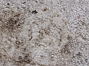 Close-up of Wall Texture Details