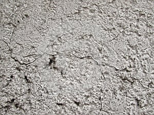 Close-up of Wall Texture Details