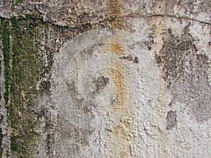 Close-up of Wall Texture Details