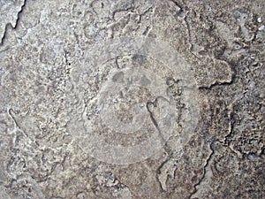 Close-up of Wall Texture Details