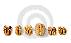 Close up of walnut kernels and whole walnut lined up isolated on white background