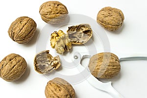 Close up of Walnut And Nutcracker. Freshly cracked walnut in nutcracker on white background