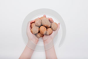 close up, walnuts in the hands of a child isolated on white