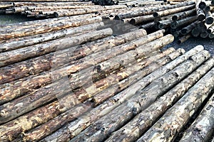 Close up of warehouse with production of woodworking sawmills, boards, lumber and logs. Timber industry