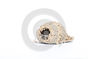 close up wasp\'s nest made of soil on white background